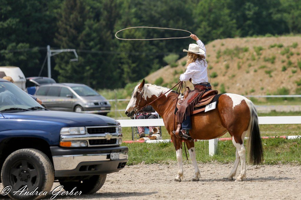 Swiss Ranch Horse Association - SRHA