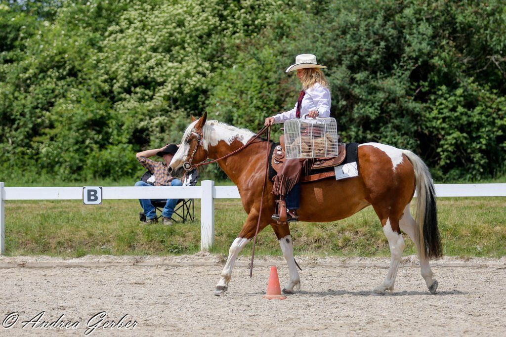 Swiss Ranch Horse Association - SRHA