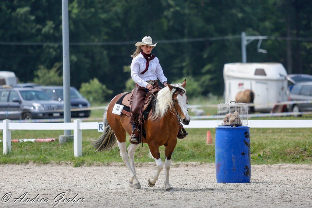 Swiss Ranch Horse Association - SRHA