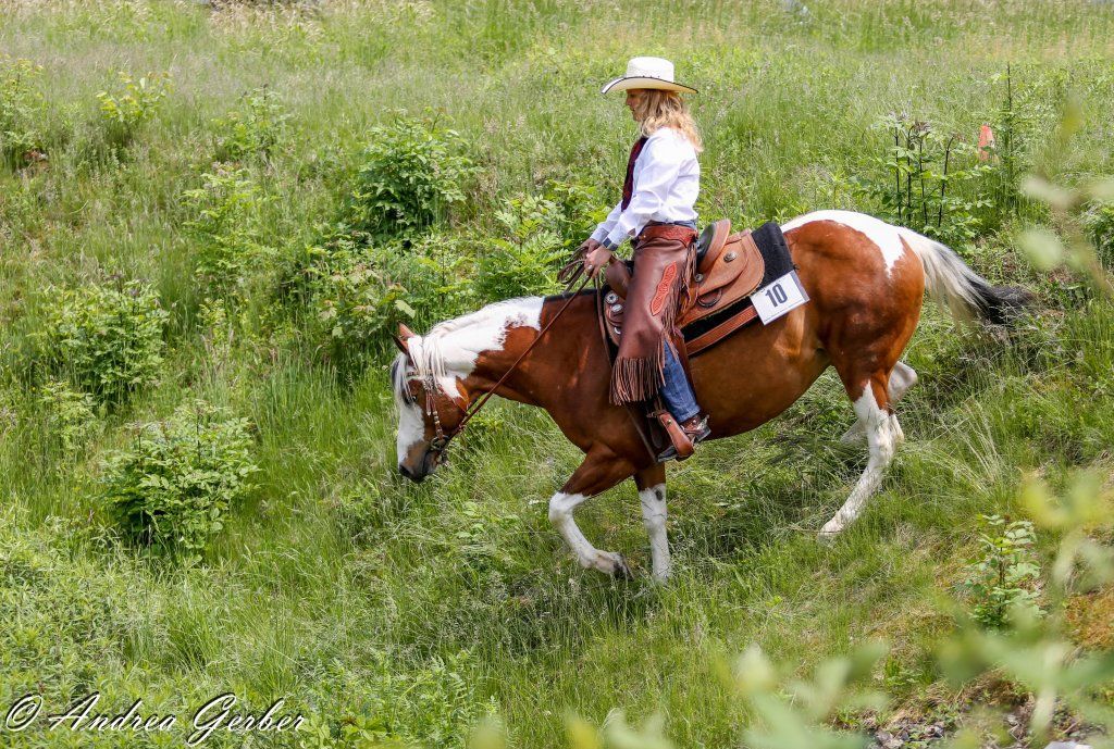 Swiss Ranch Horse Association - SRHA