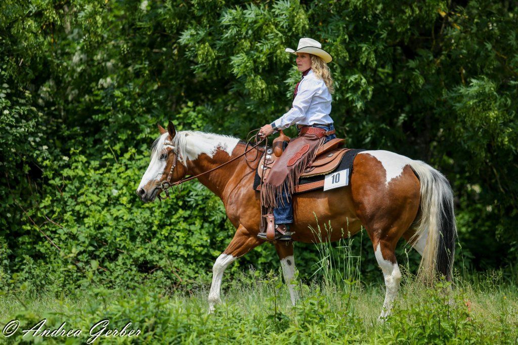 Swiss Ranch Horse Association - SRHA