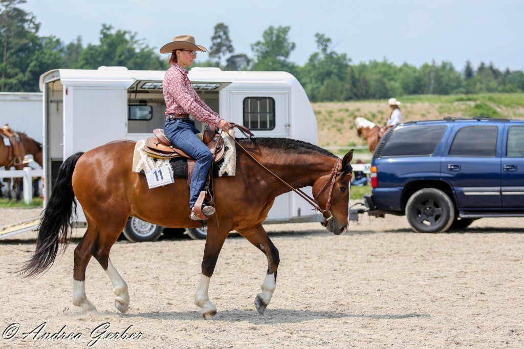 Swiss Ranch Horse Association - SRHA
