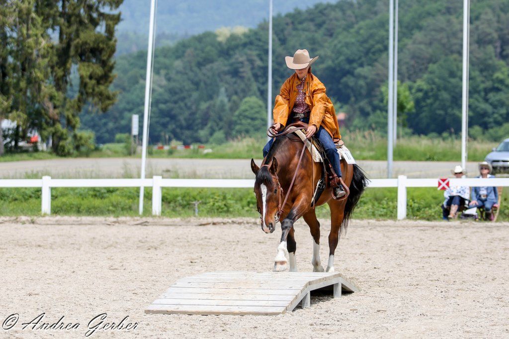 Swiss Ranch Horse Association - SRHA