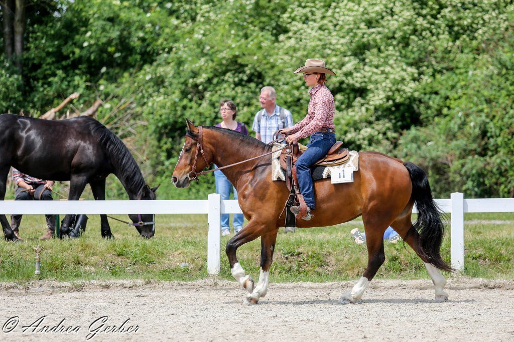 Swiss Ranch Horse Association - SRHA