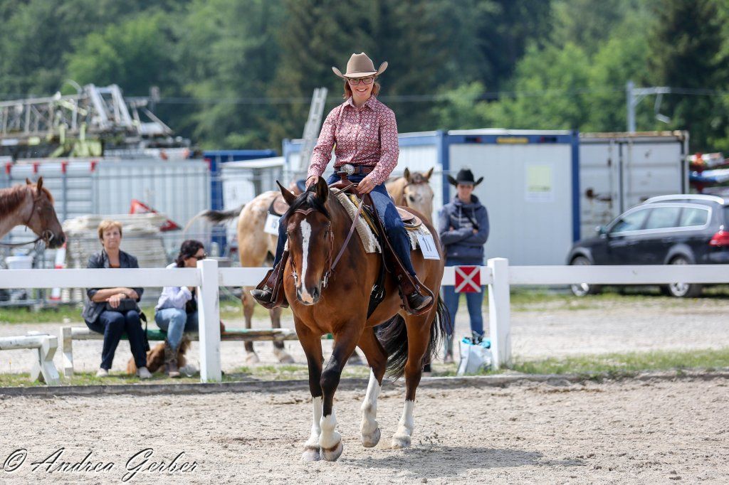 Swiss Ranch Horse Association - SRHA