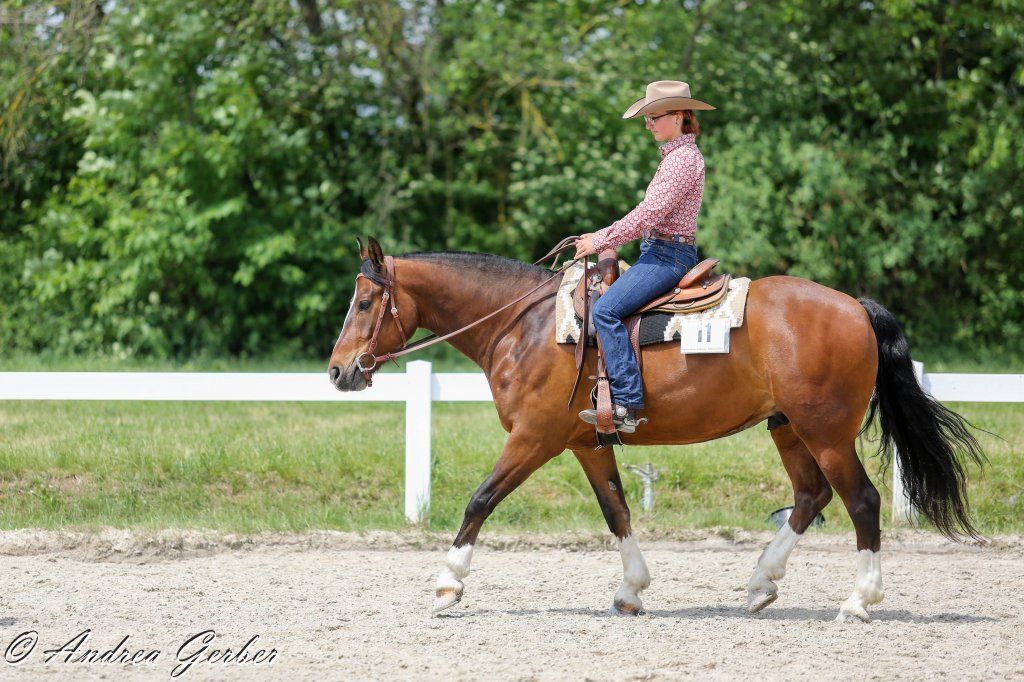 Swiss Ranch Horse Association - SRHA
