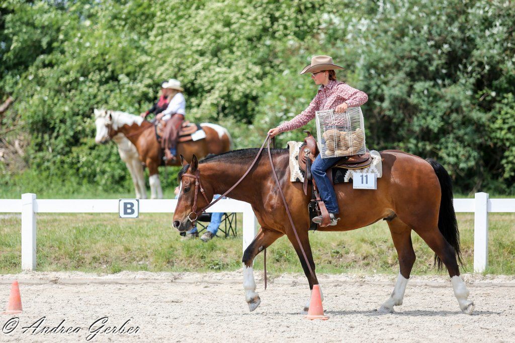 Swiss Ranch Horse Association - SRHA