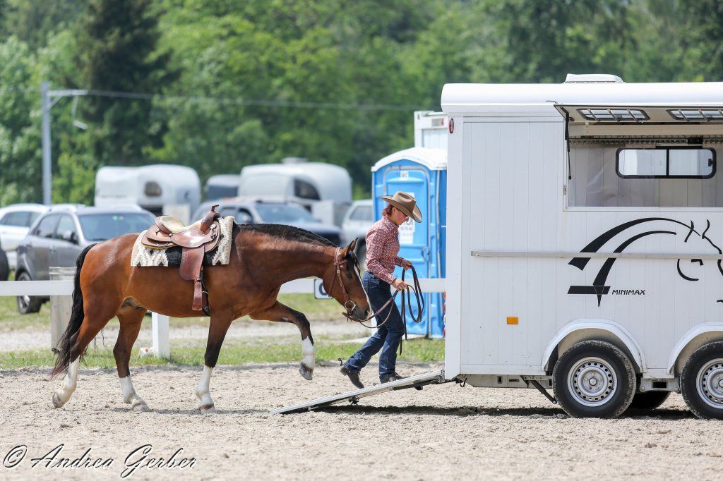 Swiss Ranch Horse Association - SRHA