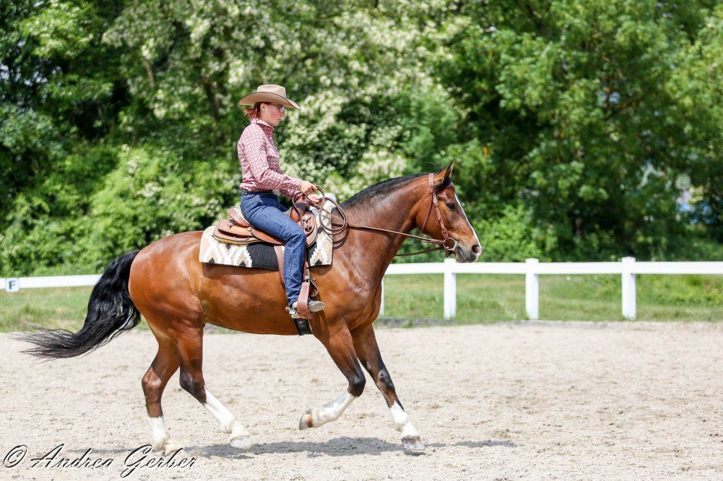 Swiss Ranch Horse Association - SRHA