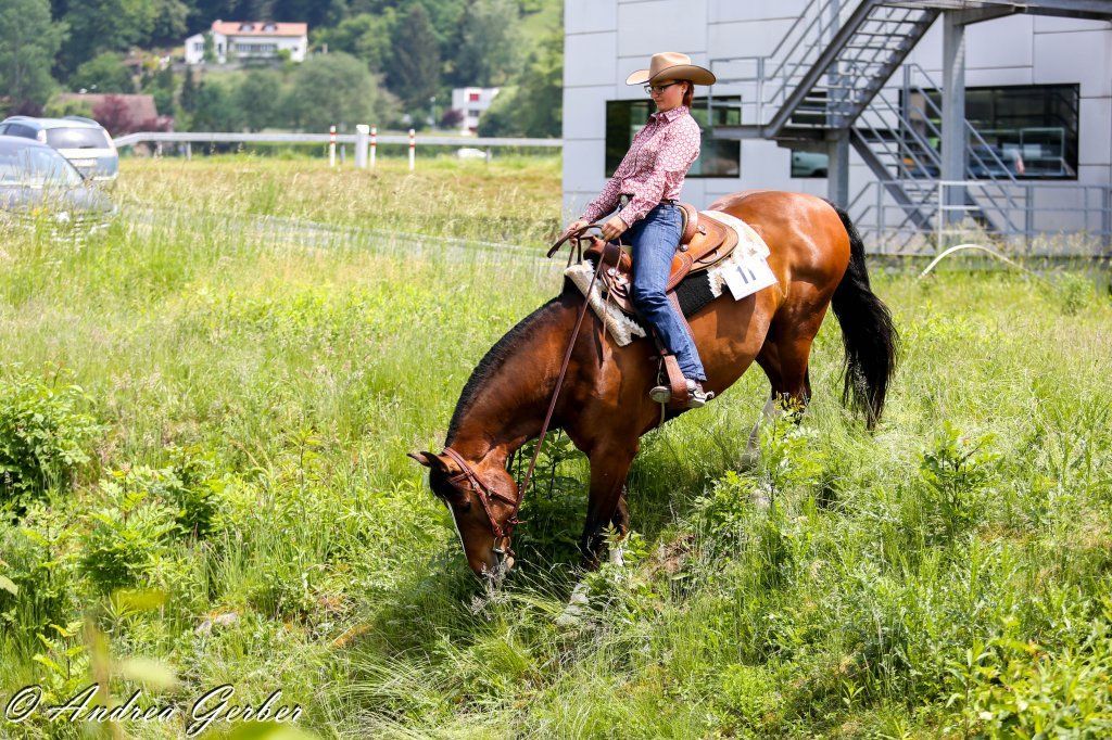 Swiss Ranch Horse Association - SRHA