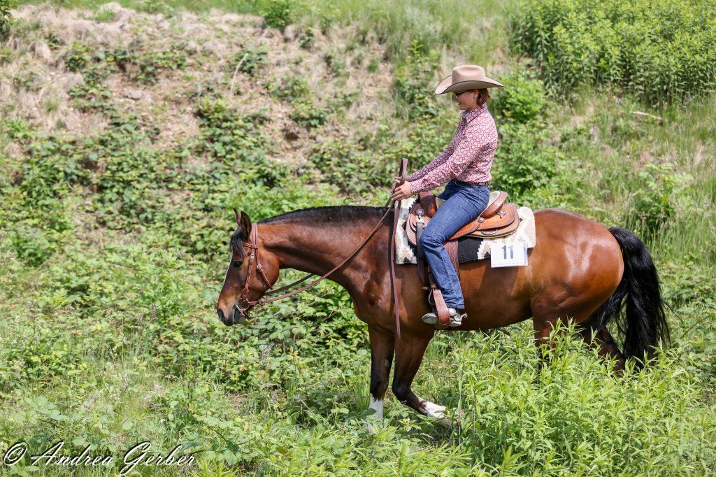 Swiss Ranch Horse Association - SRHA