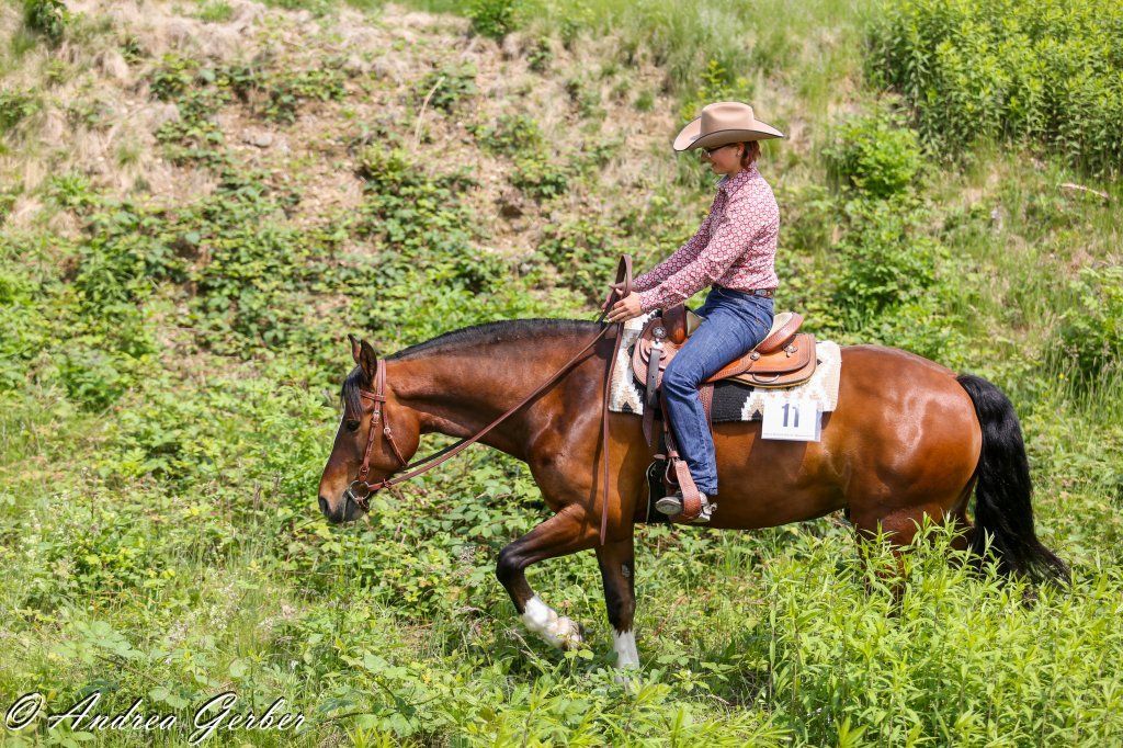 Swiss Ranch Horse Association - SRHA