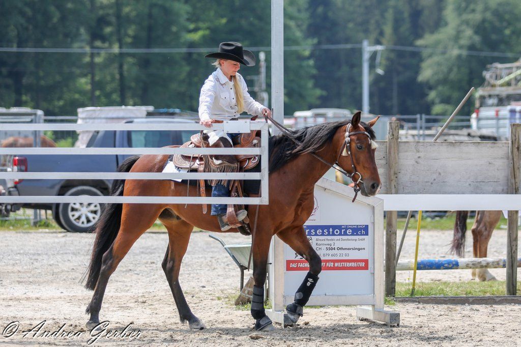 Swiss Ranch Horse Association - SRHA