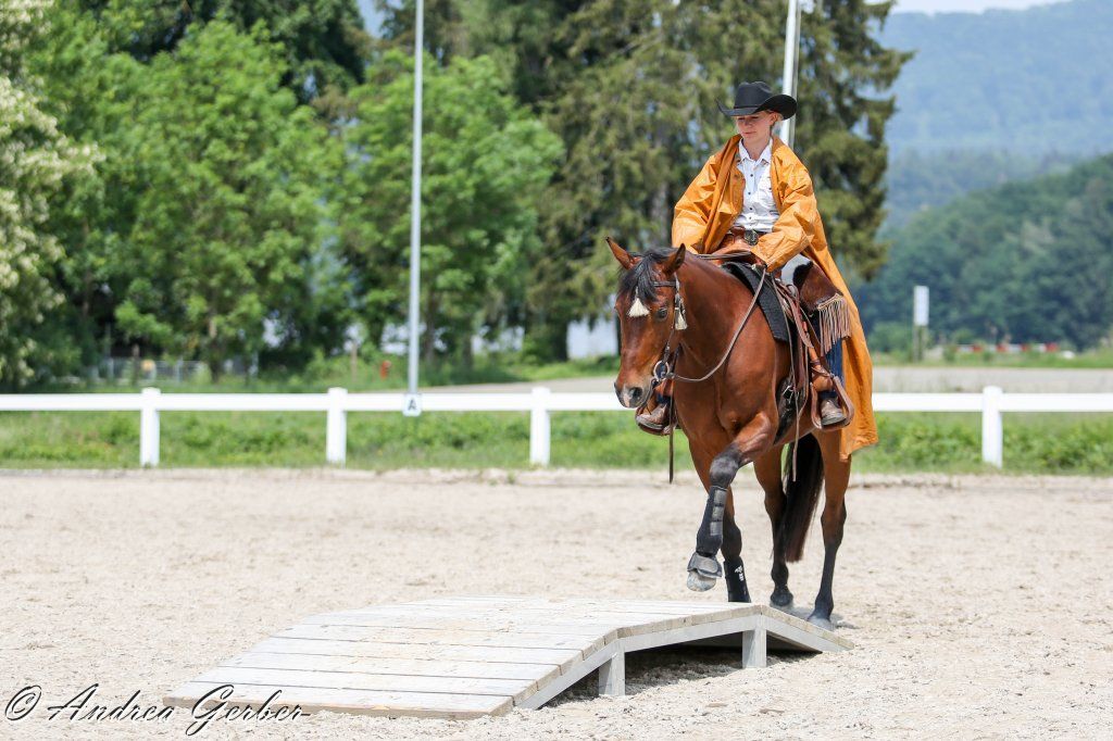 Swiss Ranch Horse Association - SRHA