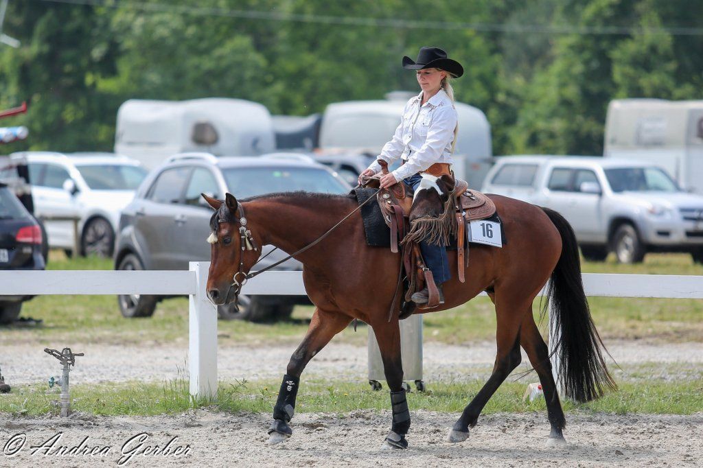 Swiss Ranch Horse Association - SRHA