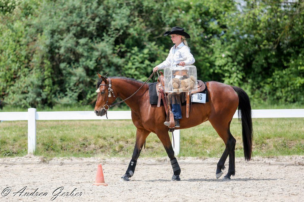 Swiss Ranch Horse Association - SRHA