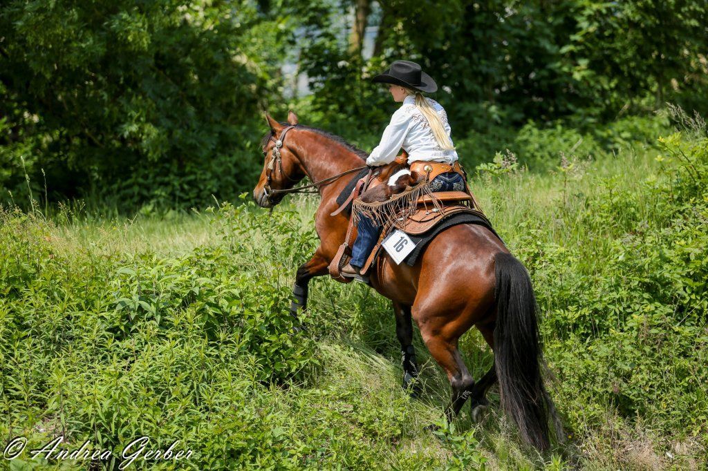 Swiss Ranch Horse Association - SRHA