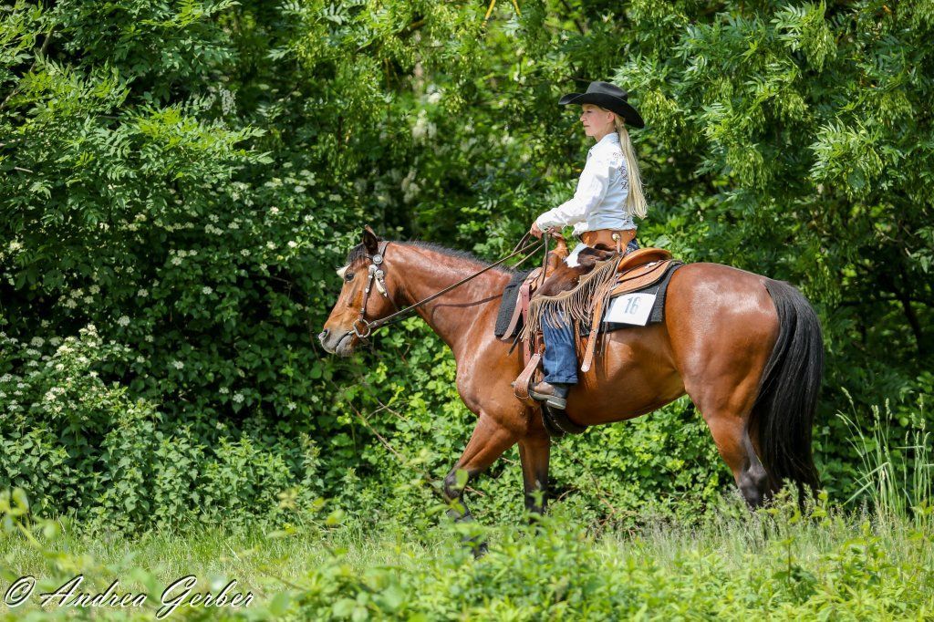 Swiss Ranch Horse Association - SRHA
