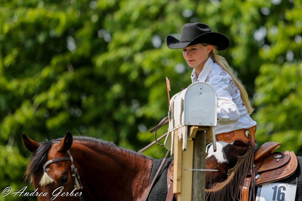 Swiss Ranch Horse Association - SRHA