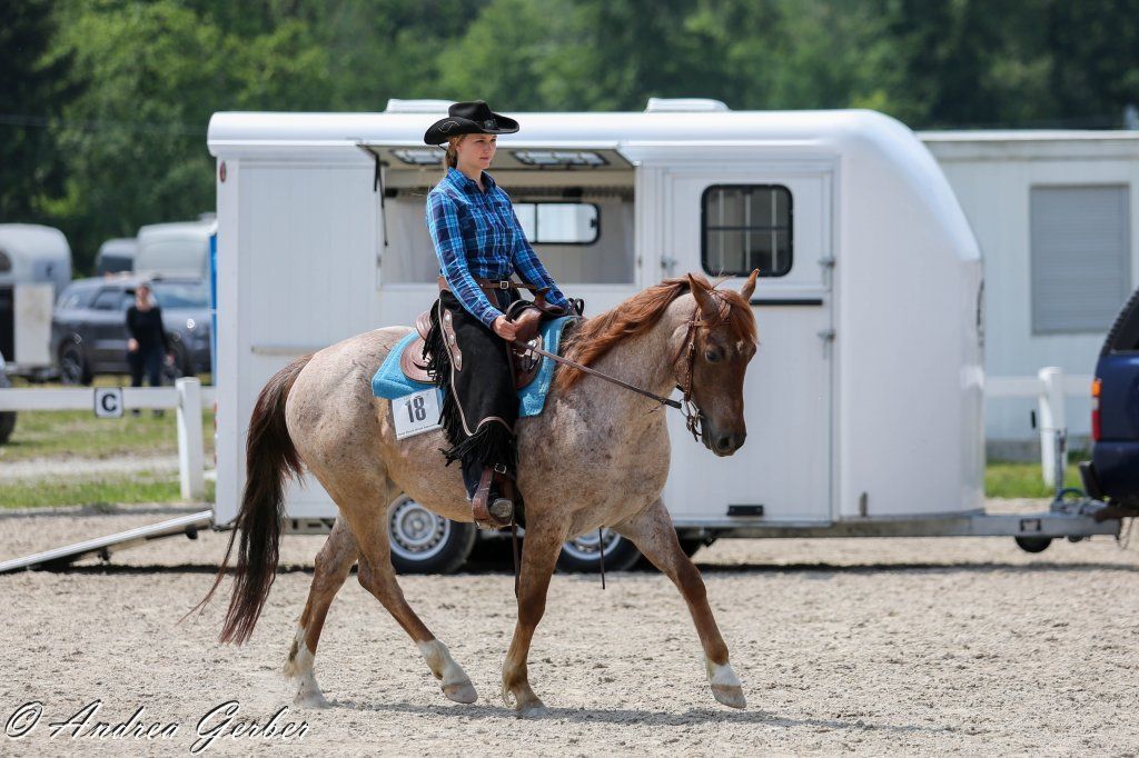 Swiss Ranch Horse Association - SRHA