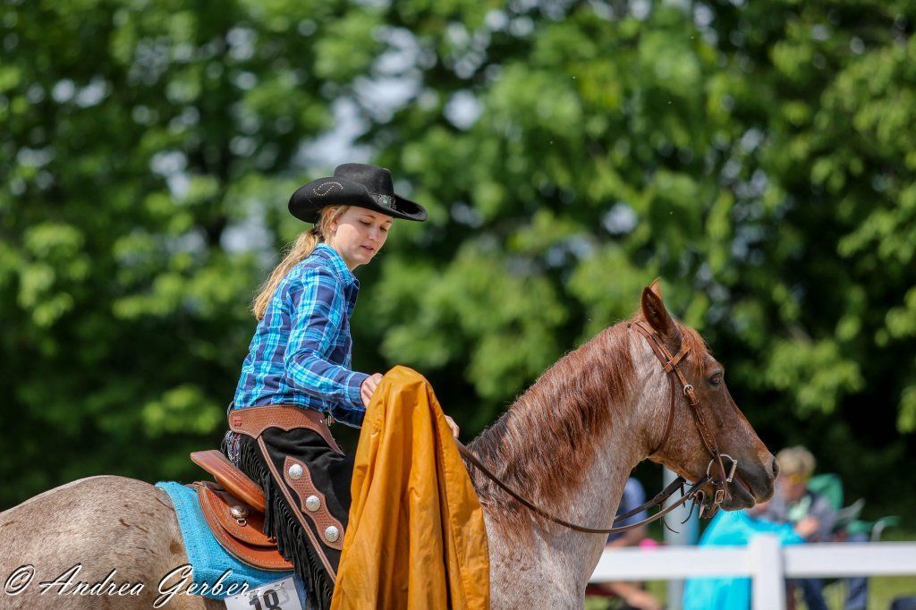 Swiss Ranch Horse Association - SRHA