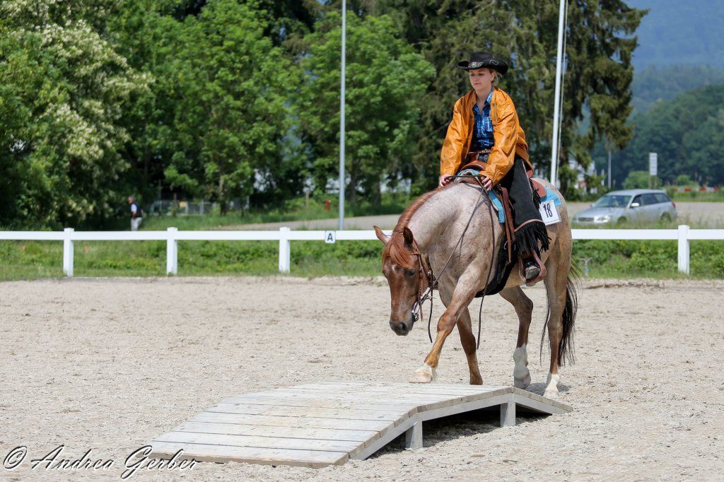 Swiss Ranch Horse Association - SRHA
