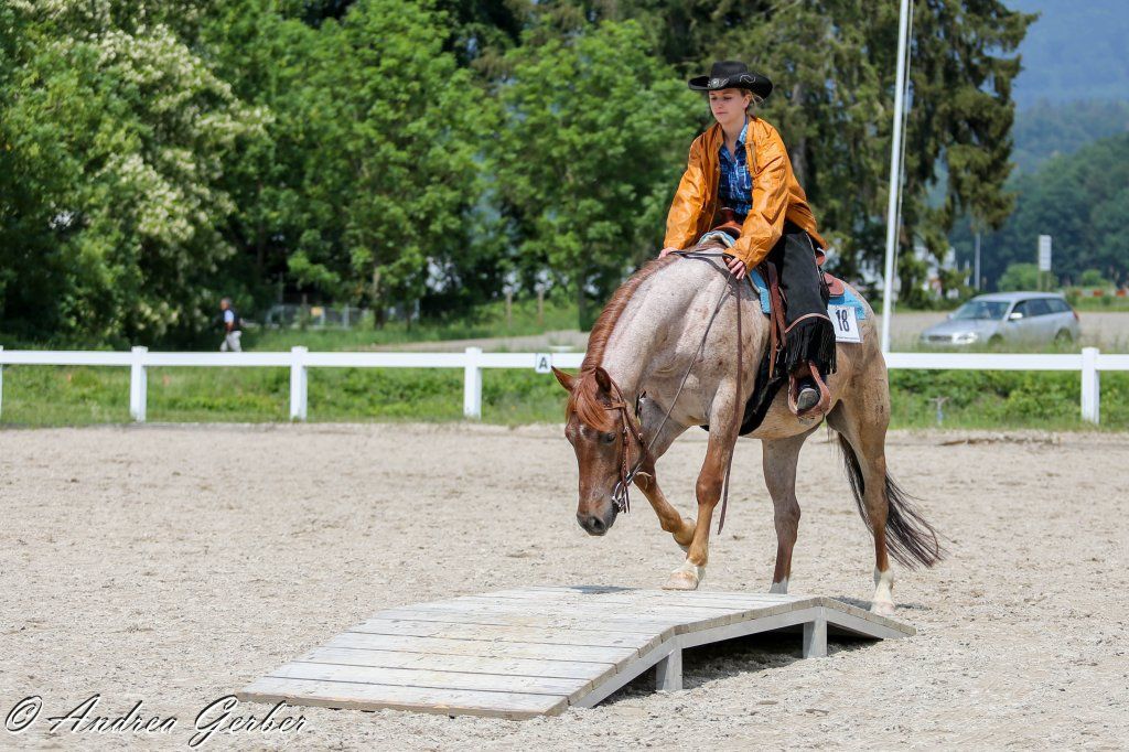Swiss Ranch Horse Association - SRHA