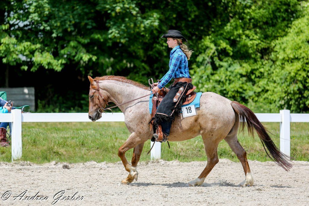 Swiss Ranch Horse Association - SRHA