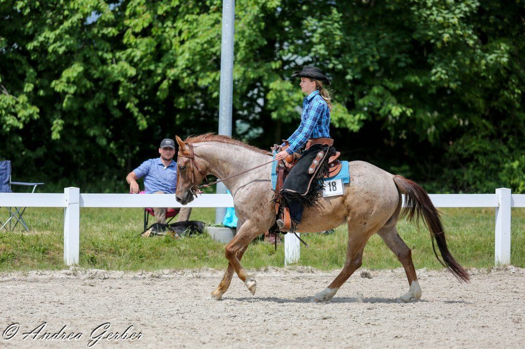 Swiss Ranch Horse Association - SRHA