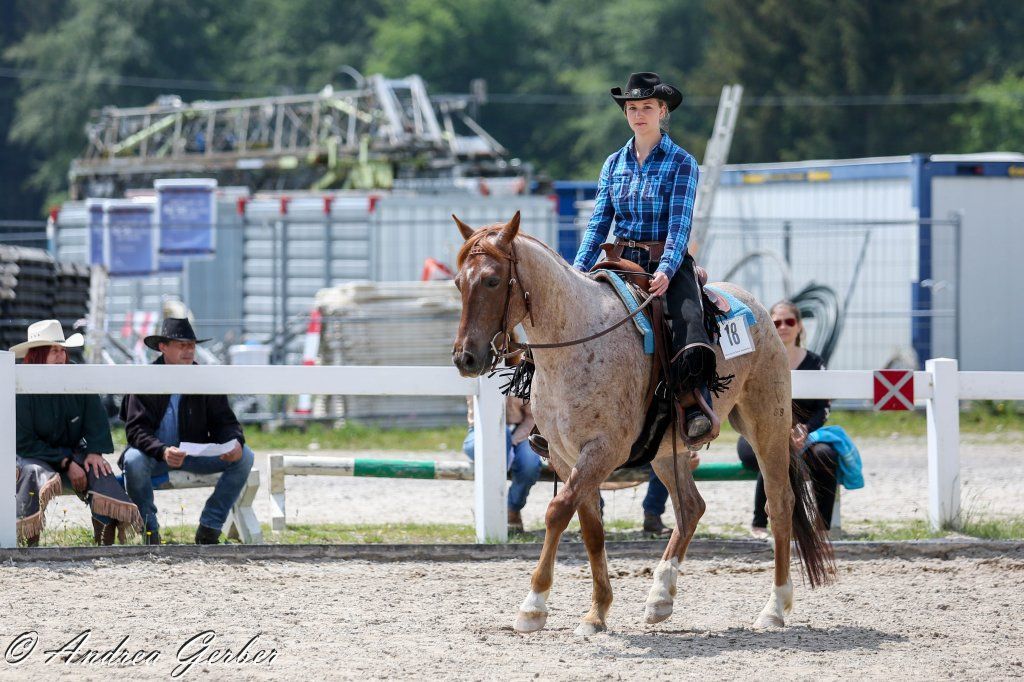 Swiss Ranch Horse Association - SRHA