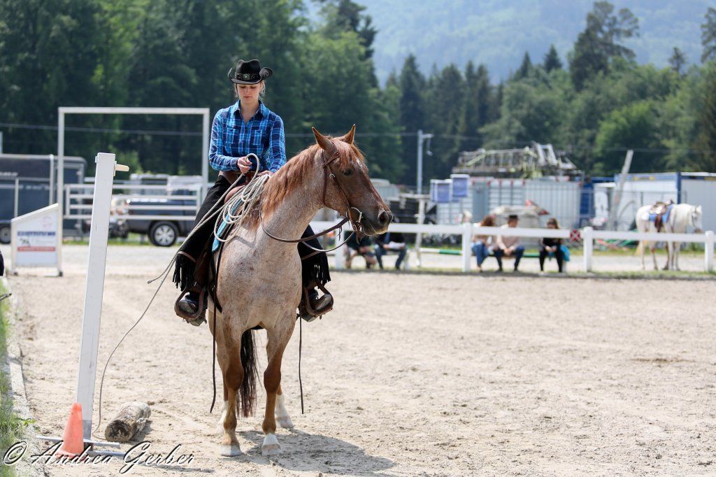 Swiss Ranch Horse Association - SRHA