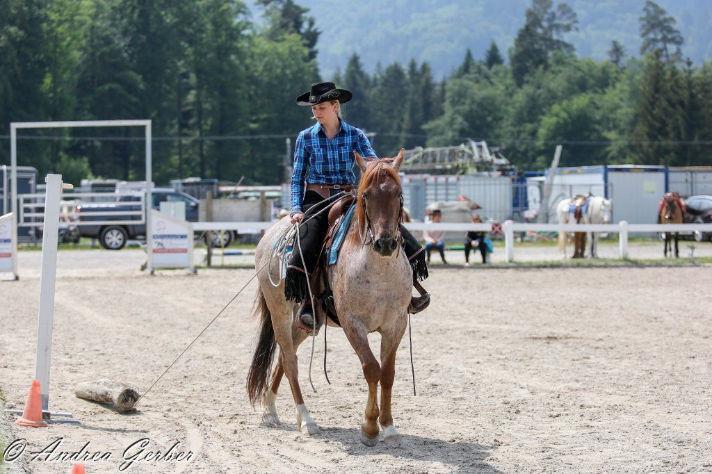 Swiss Ranch Horse Association - SRHA