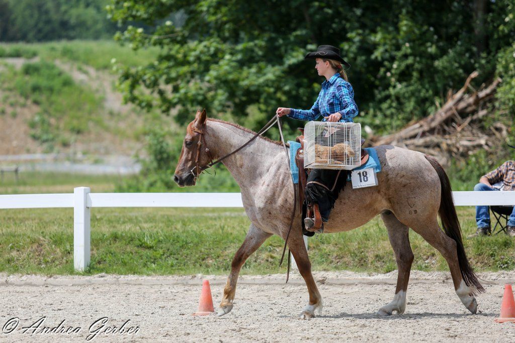 Swiss Ranch Horse Association - SRHA