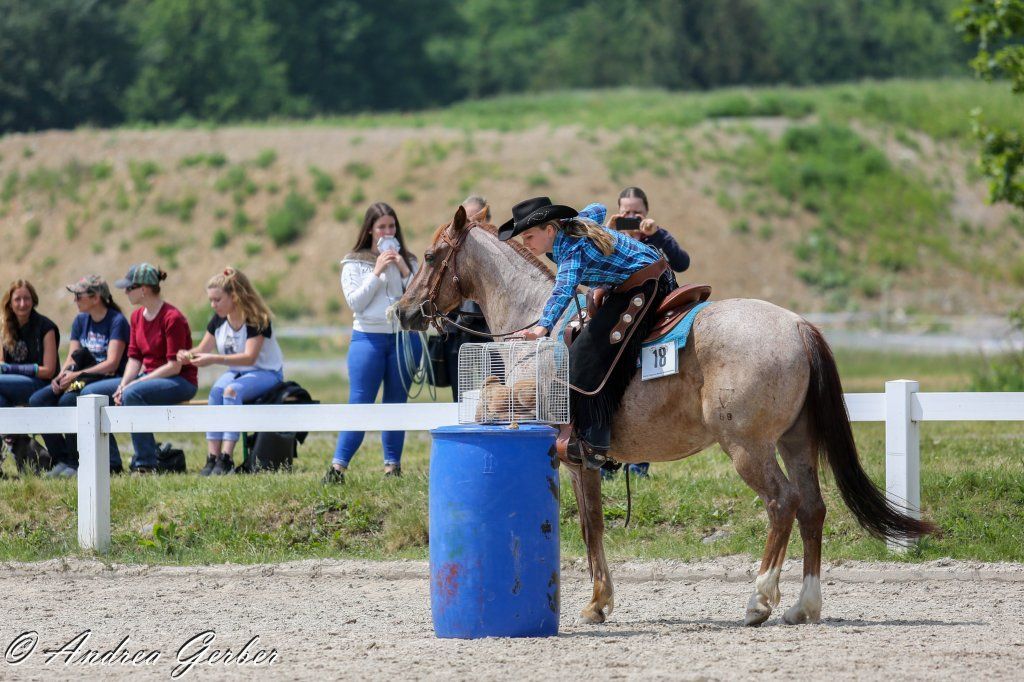 Swiss Ranch Horse Association - SRHA