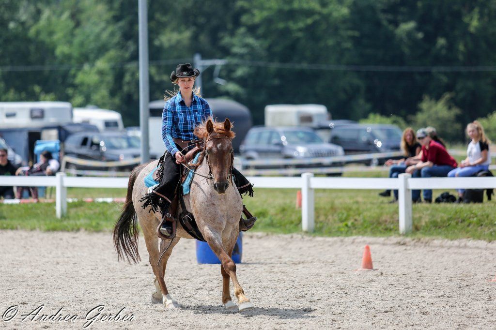 Swiss Ranch Horse Association - SRHA