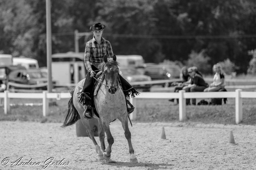 Swiss Ranch Horse Association - SRHA