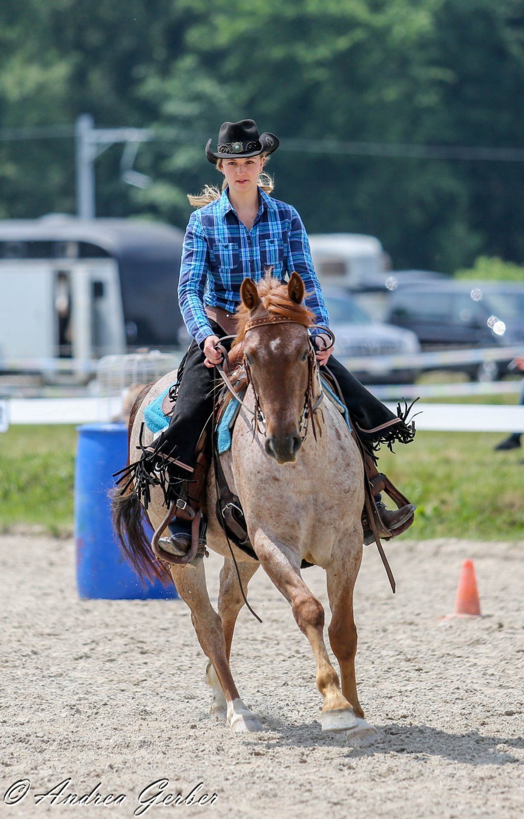 Swiss Ranch Horse Association - SRHA