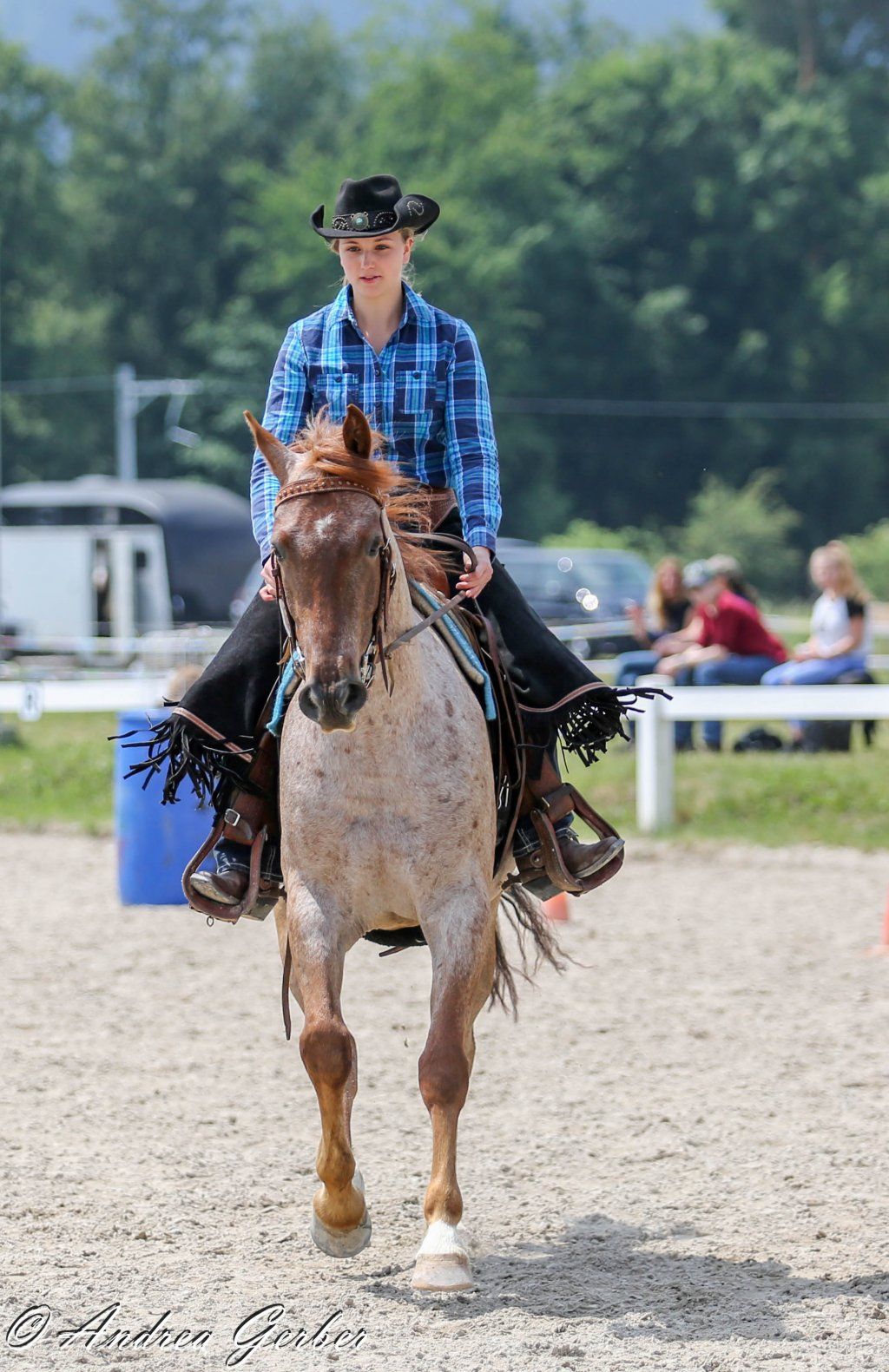 Swiss Ranch Horse Association - SRHA