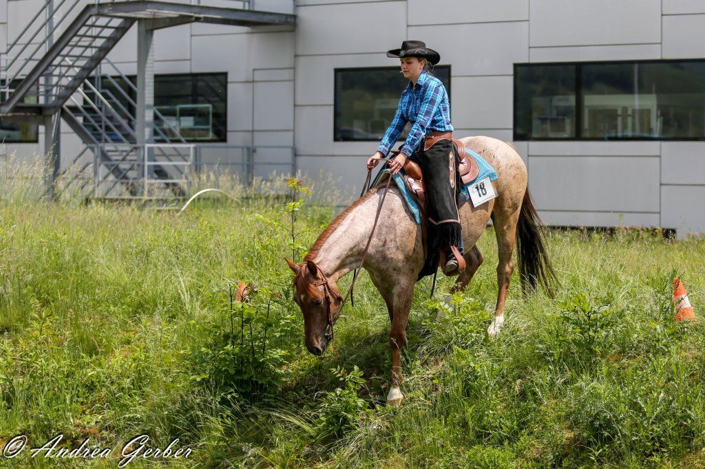 Swiss Ranch Horse Association - SRHA