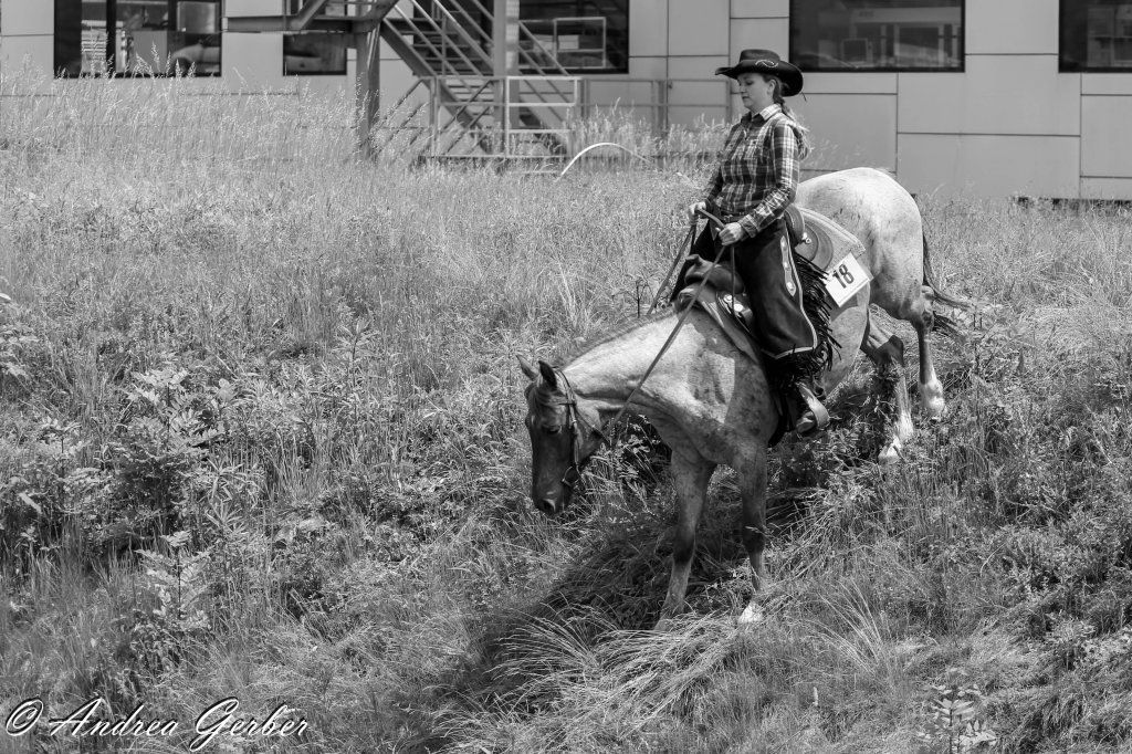 Swiss Ranch Horse Association - SRHA