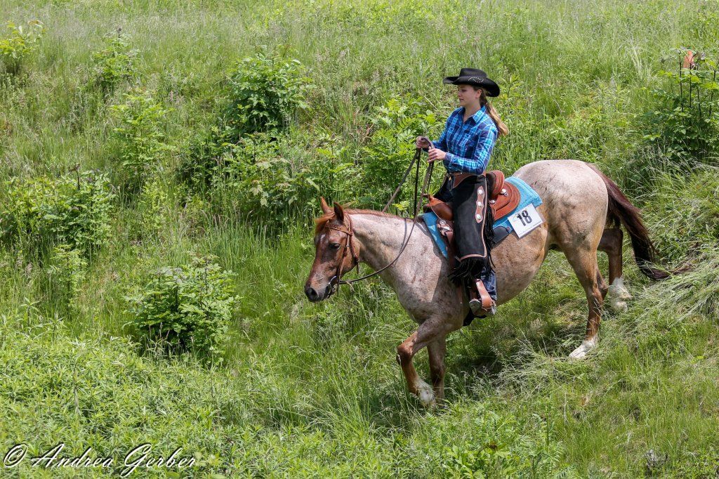 Swiss Ranch Horse Association - SRHA
