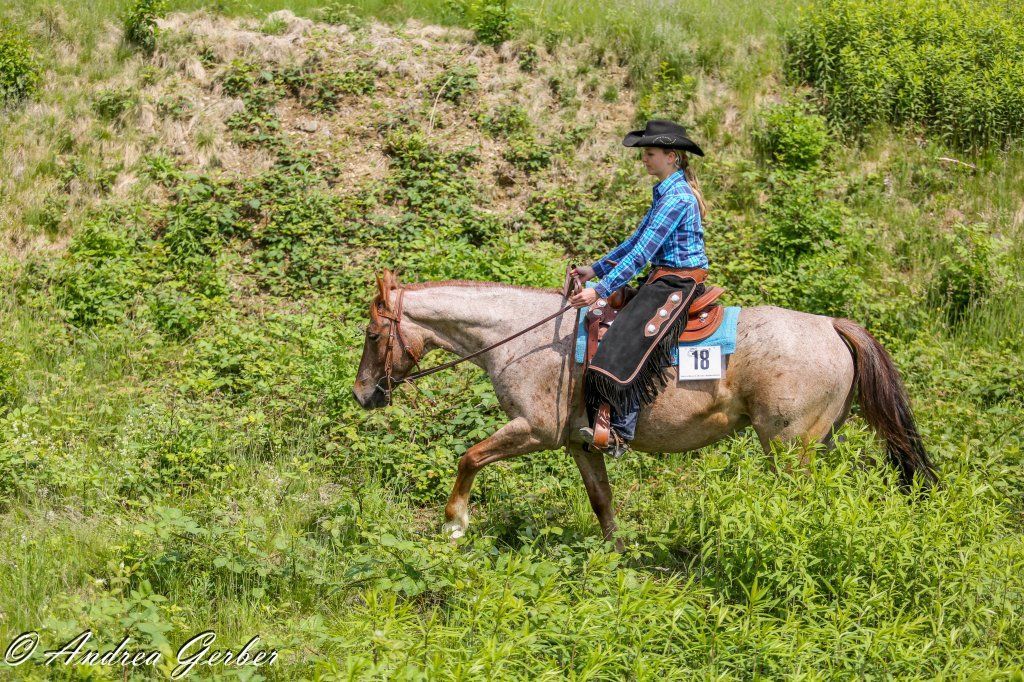 Swiss Ranch Horse Association - SRHA