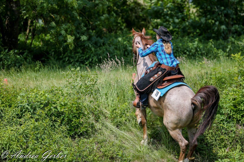 Swiss Ranch Horse Association - SRHA