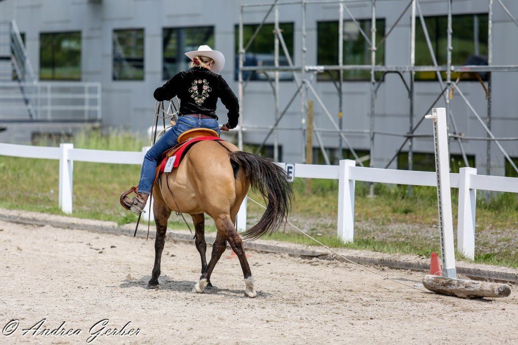 Swiss Ranch Horse Association - SRHA