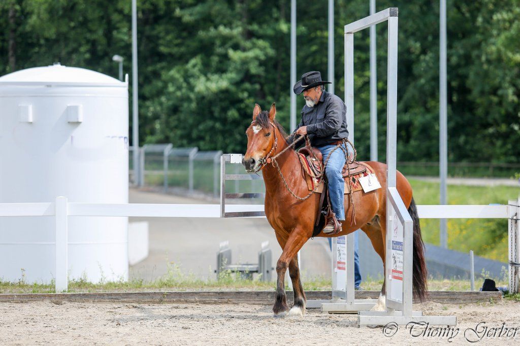 Swiss Ranch Horse Association - SRHA