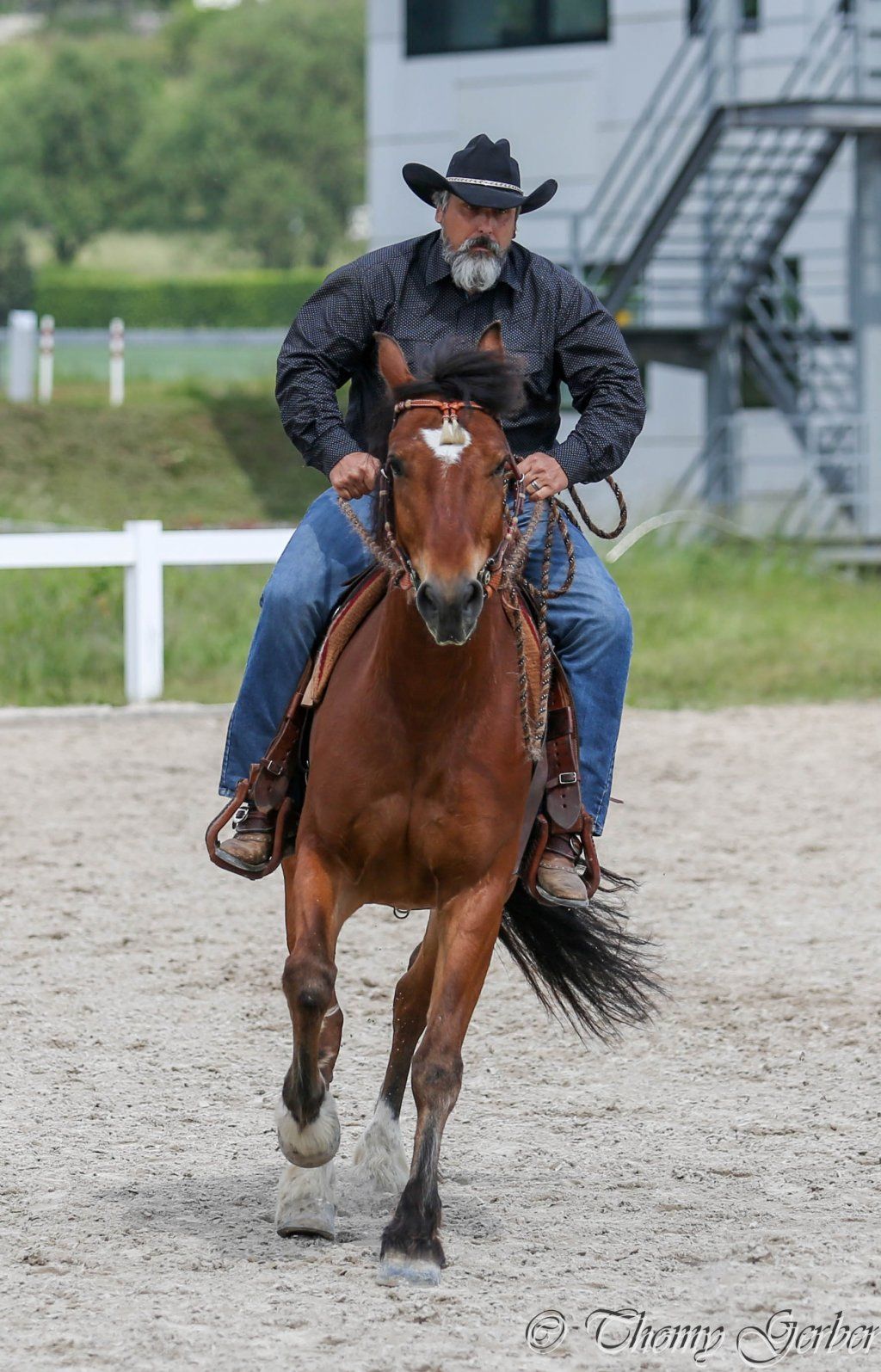 Swiss Ranch Horse Association - SRHA