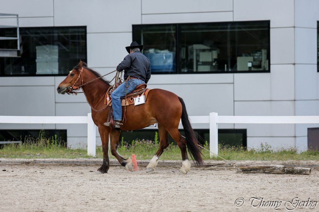 Swiss Ranch Horse Association - SRHA