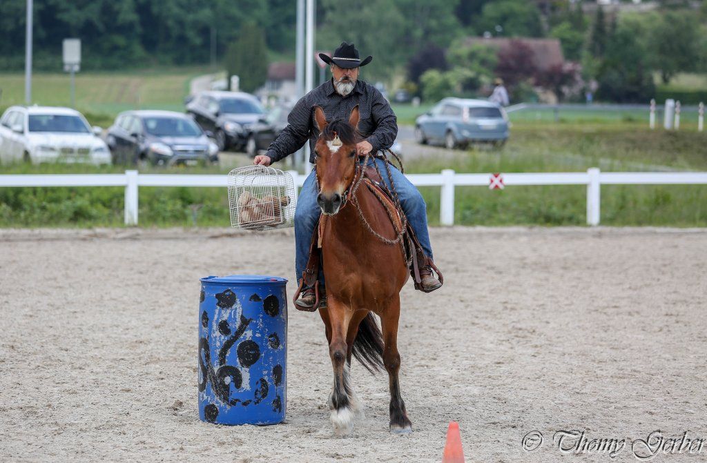 Swiss Ranch Horse Association - SRHA