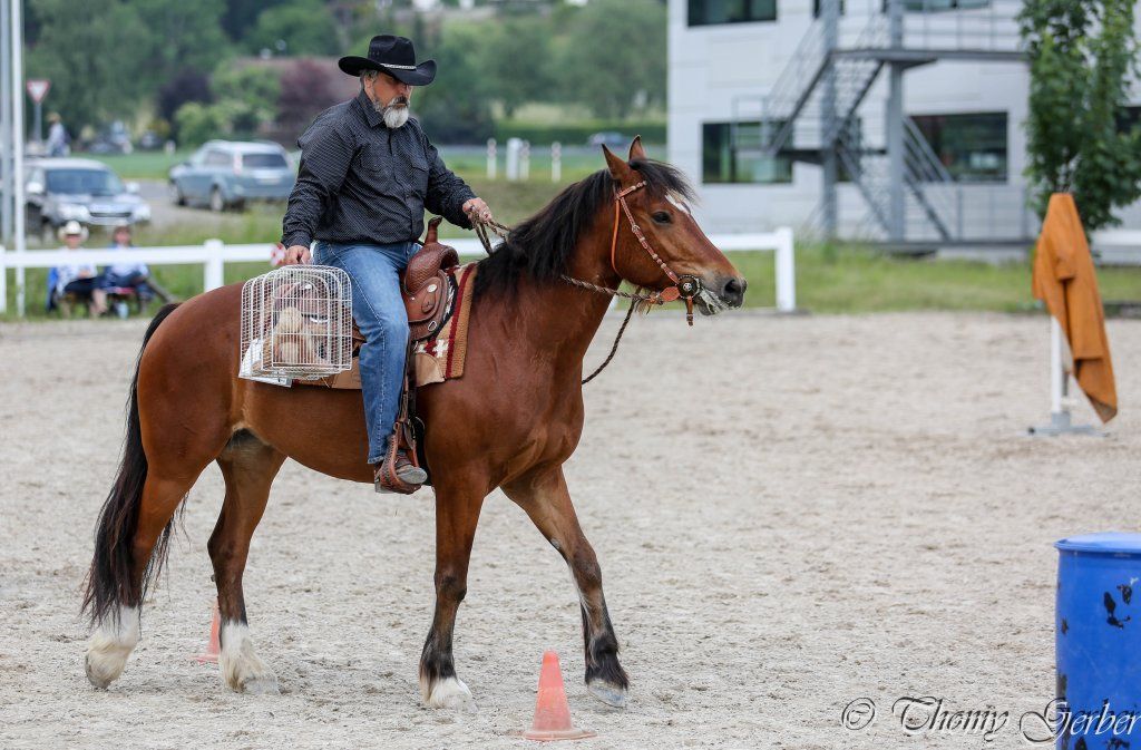 Swiss Ranch Horse Association - SRHA