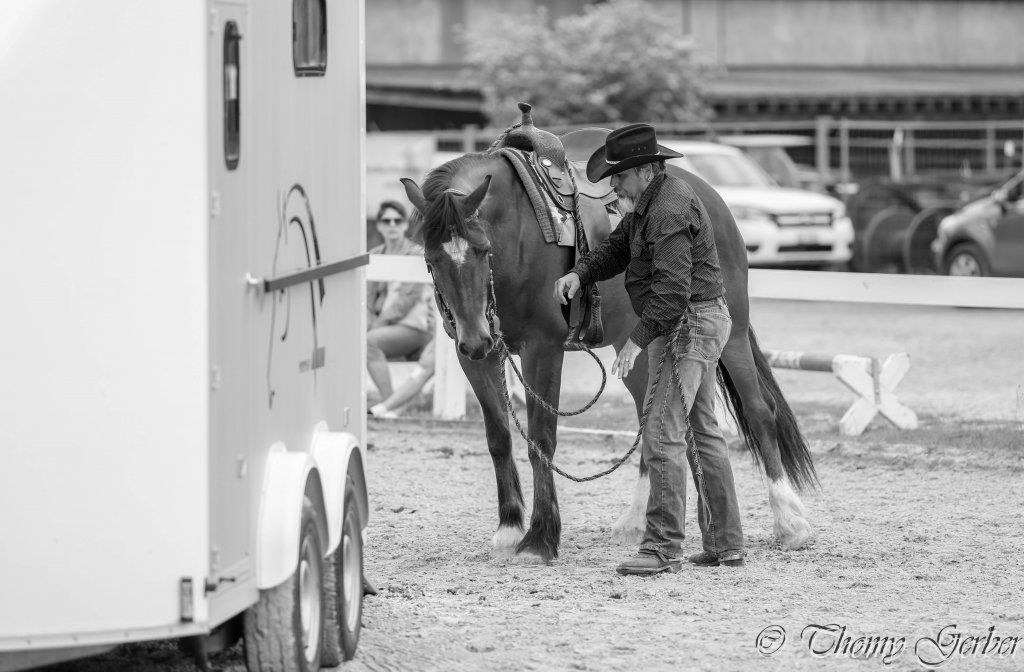 Swiss Ranch Horse Association - SRHA